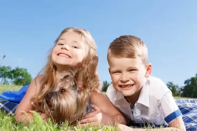 Smart Strategies to Help You Bring Up Positive Kids